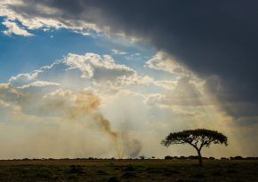 Zambia landscape. Source: Photo by Birger Strahl on Unsplash
