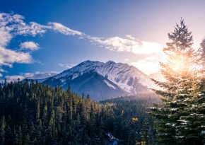 Canada landscape. Source: Unspash neil rosenstech