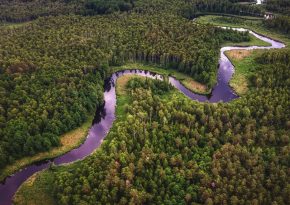 Amazonia river aerial view. Source: Photo by Adam Śmigielski on Unsplash